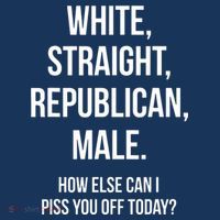 White, Straight, Republican, Male Funny Republican Tank Top
