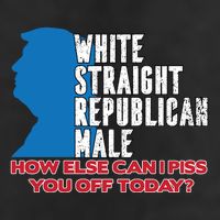 White Straight Republican Male Who Else Can I Piss Off Today 7 Panel Mesh Trucker Snapback Hat