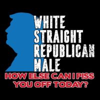 White Straight Republican Male Who Else Can I Piss Off Today Impact Tech Backpack