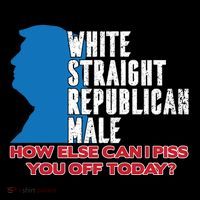 White Straight Republican Male Who Else Can I Piss Off Today Tank Top