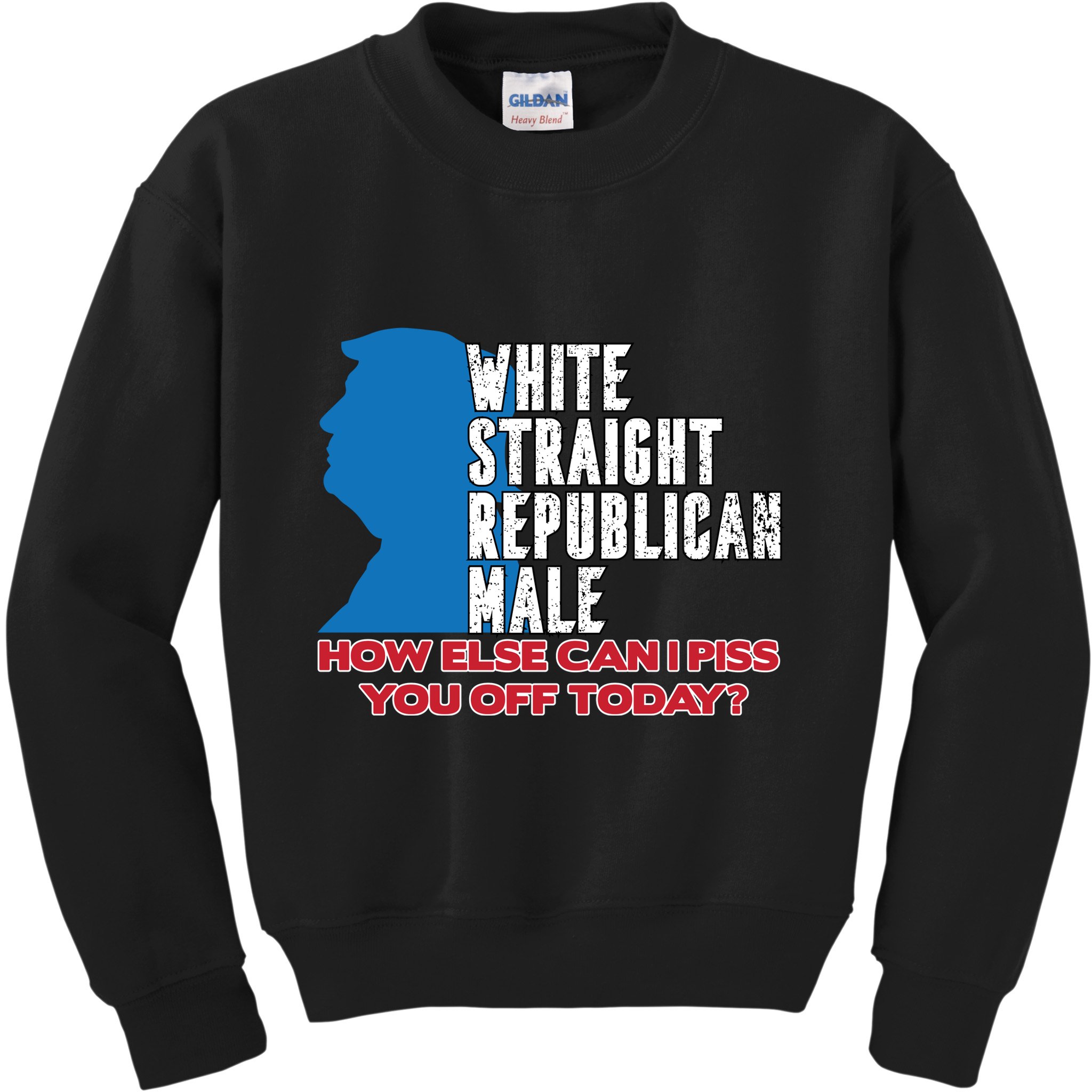 White Straight Republican Male Who Else Can I Piss Off Today Kids Sweatshirt
