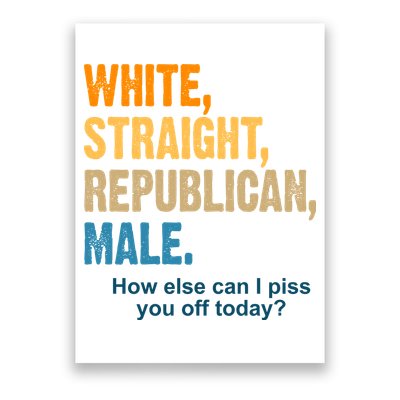 White Straight Republican Male Piss You Off Funny Poster