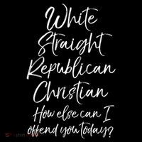 White Straight Republican Christian How Else Can I Offend Poster