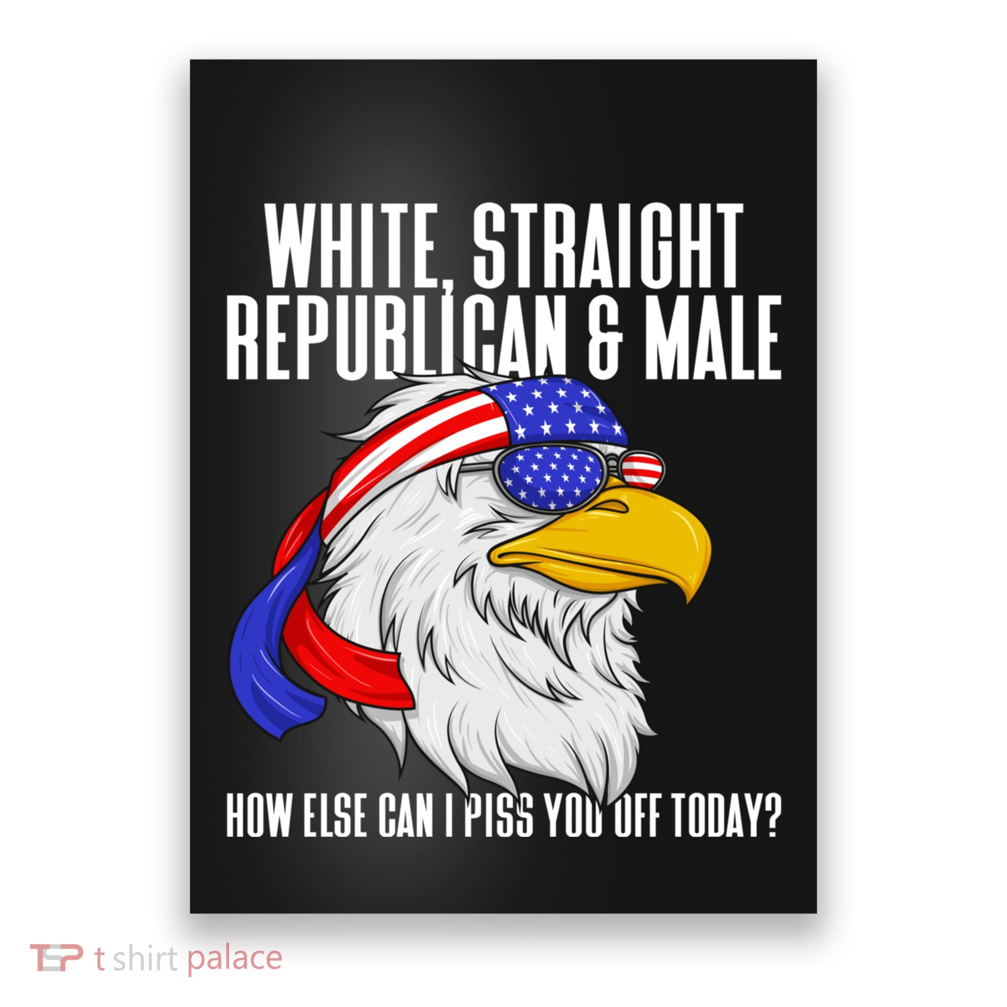 White Straight Republican Male How Can I Piss You Off Today Poster