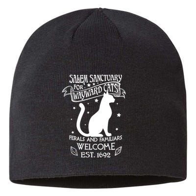 Witch Salem Sanctuary For Wayward Black Cats 1692 Gift Idea Sustainable Beanie