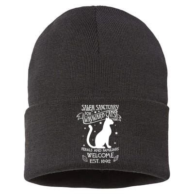 Witch Salem Sanctuary For Wayward Black Cats 1692 Gift Idea Sustainable Knit Beanie