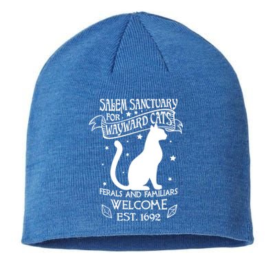 Witch Salem Sanctuary For Wayward Black Cats 1692 Gift Idea Meaningful Gift Sustainable Beanie