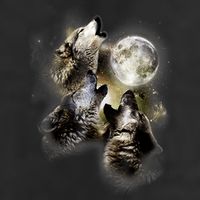 Wolf Shirt Three Wolves Moon Wolf Moon 7 Panel Mesh Trucker Snapback Hat