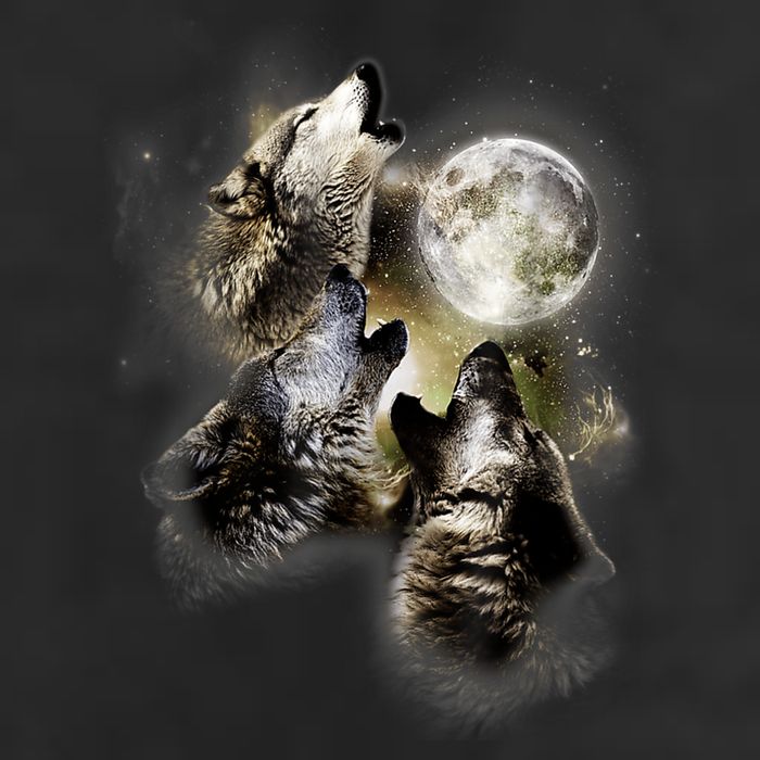 Wolf Shirt Three Wolves Moon Wolf Moon Trucker Hat