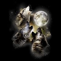 Wolf Shirt Three Wolves Moon Wolf Moon Kids T-Shirt