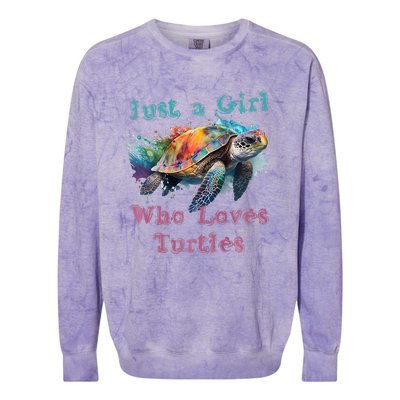 Watercolor Sea Turtle Just a That Loves Turtles Florida Colorblast Crewneck Sweatshirt