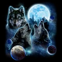 Wolf Shirt Three Wolves Moon Wolf Moon Womens Tank Top
