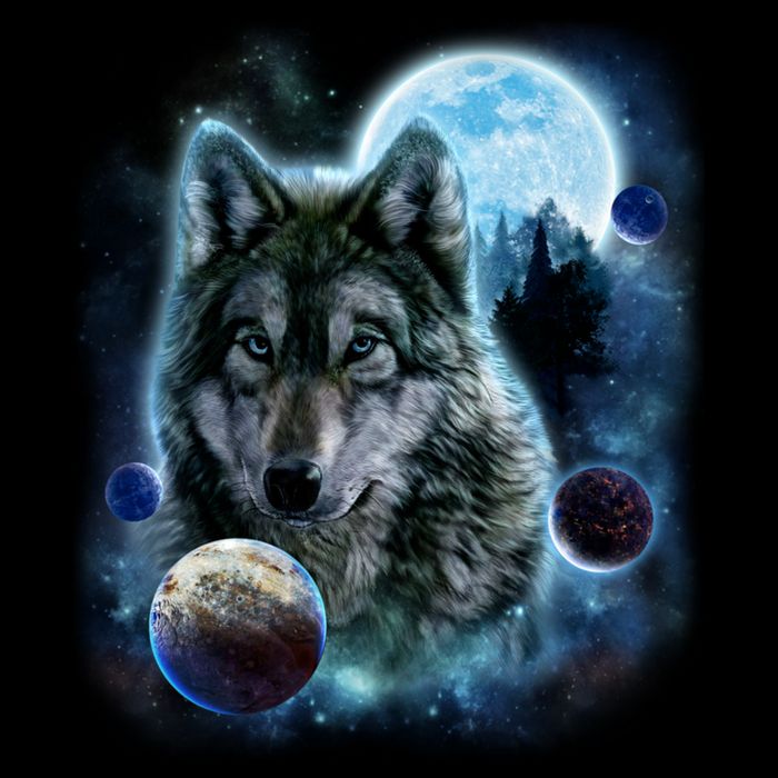Wolf Shirt Three Wolves Moon Wolf Moon Toddler Hoodie