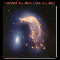 Webb Space Telescope The Penguin And Egg Ngc 2936 2937 Jwst Stripe Pom Pom Beanie