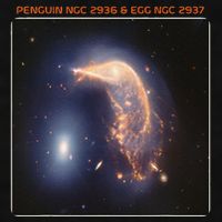 Webb Space Telescope The Penguin And Egg Ngc 2936 2937 Jwst Ladies PosiCharge Tri-Blend Wicking Tank