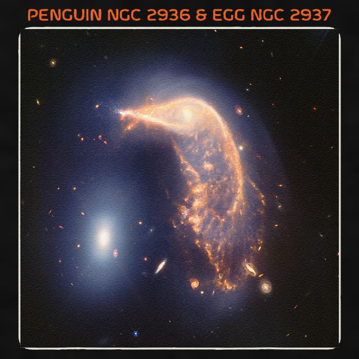 Webb Space Telescope The Penguin And Egg Ngc 2936 2937 Jwst Ladies PosiCharge Tri-Blend Wicking Tank