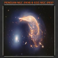 Webb Space Telescope The Penguin And Egg Ngc 2936 2937 Jwst Cool Comfort Performance Bucket Hat