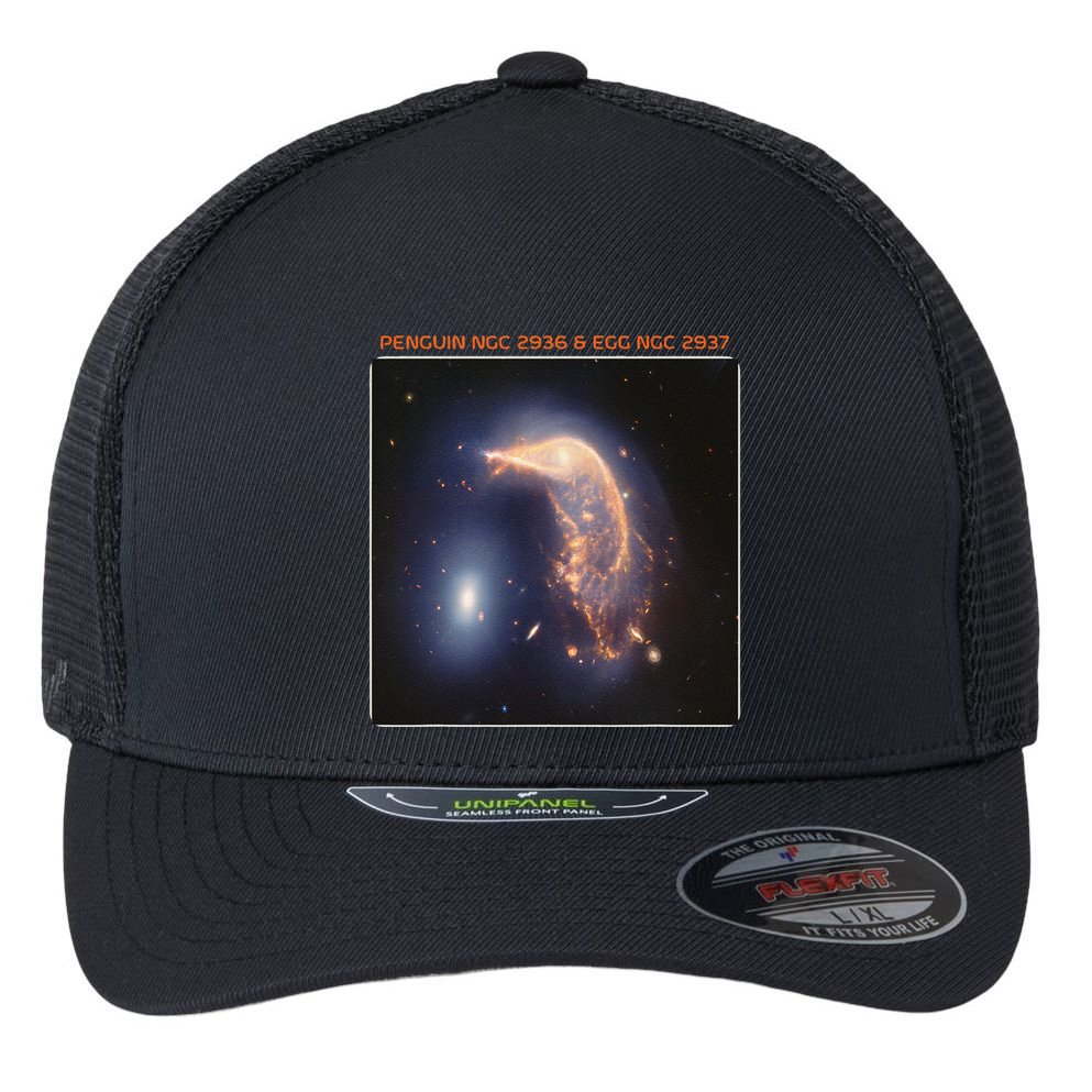 Webb Space Telescope The Penguin And Egg Ngc 2936 2937 Jwst Flexfit Unipanel Trucker Cap