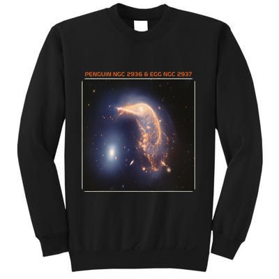 Webb Space Telescope The Penguin And Egg Ngc 2936 2937 Jwst Sweatshirt