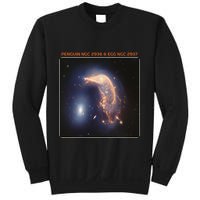 Webb Space Telescope The Penguin And Egg Ngc 2936 2937 Jwst Sweatshirt