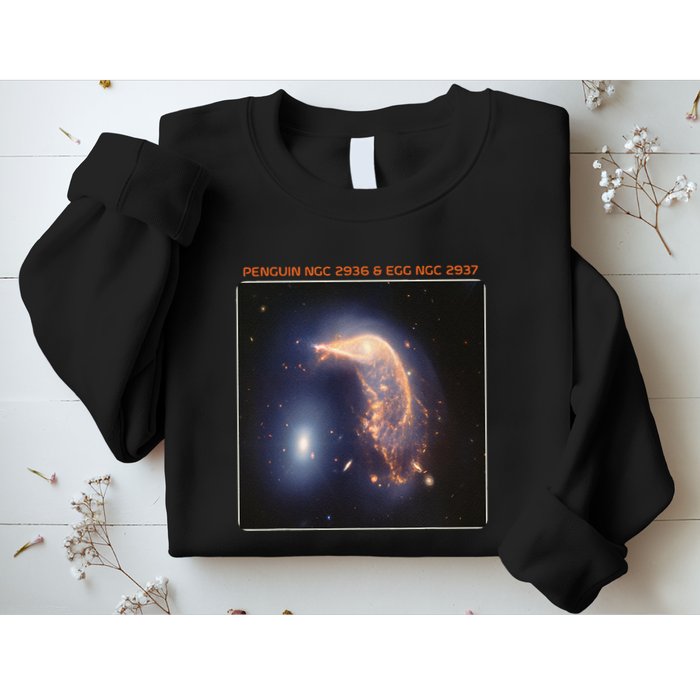 Webb Space Telescope The Penguin And Egg Ngc 2936 2937 Jwst Sweatshirt