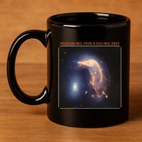 Webb Space Telescope The Penguin And Egg Ngc 2936 2937 Jwst 11oz C Handle Ceramic Mug