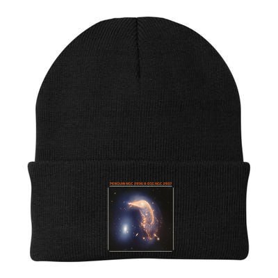 Webb Space Telescope The Penguin And Egg Ngc 2936 2937 Jwst Beanie