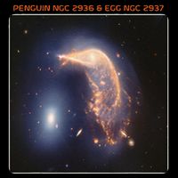 Webb Space Telescope The Penguin And Egg Ngc 2936 2937 Jwst Drawstring Bag