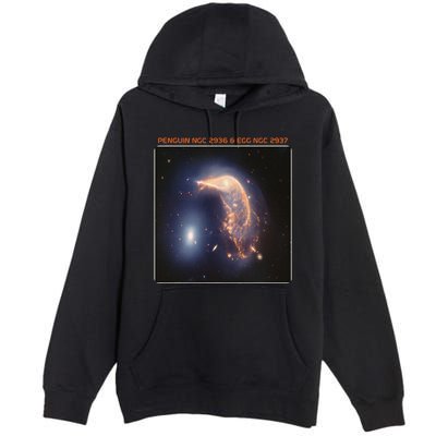 Webb Space Telescope The Penguin And Egg Ngc 2936 2937 Jwst Premium Pullover Hoodie