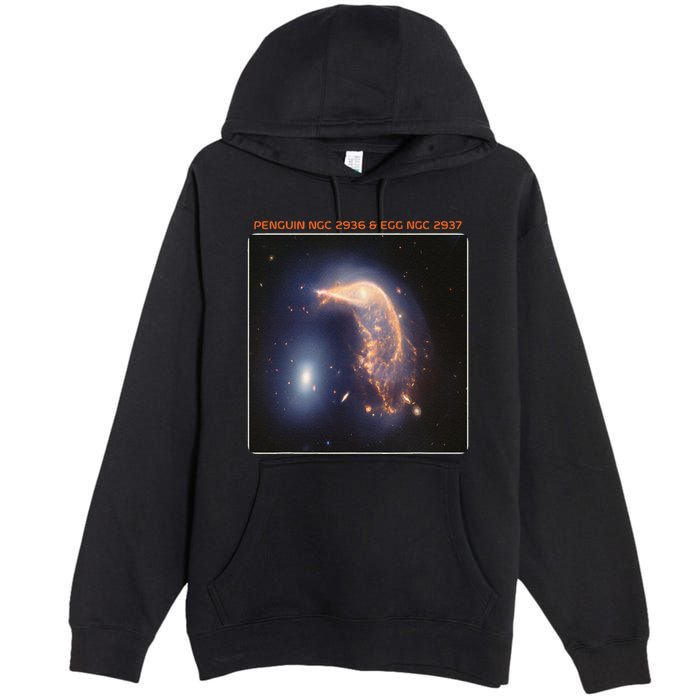 Webb Space Telescope The Penguin And Egg Ngc 2936 2937 Jwst Premium Pullover Hoodie