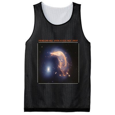 Webb Space Telescope The Penguin And Egg Ngc 2936 2937 Jwst Mesh Reversible Basketball Jersey Tank