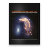 Webb Space Telescope The Penguin And Egg Ngc 2936 2937 Jwst Poster
