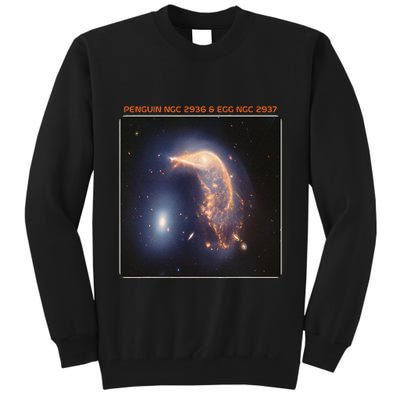 Webb Space Telescope The Penguin And Egg Ngc 2936 2937 Jwst Tall Sweatshirt