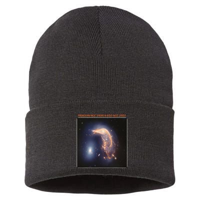 Webb Space Telescope The Penguin And Egg Ngc 2936 2937 Jwst Sustainable Knit Beanie