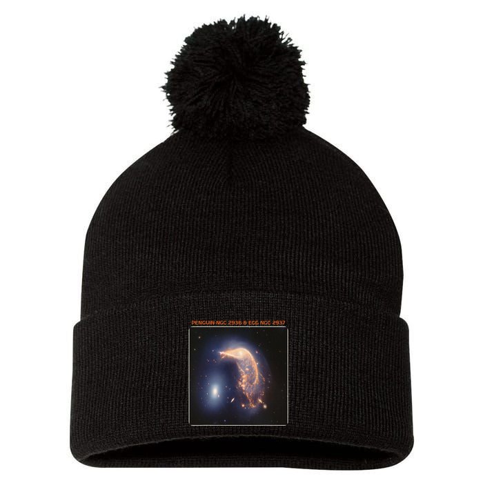 Webb Space Telescope The Penguin And Egg Ngc 2936 2937 Jwst Pom Pom 12in Knit Beanie