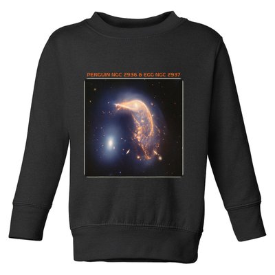 Webb Space Telescope The Penguin And Egg Ngc 2936 2937 Jwst Toddler Sweatshirt