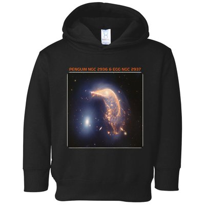 Webb Space Telescope The Penguin And Egg Ngc 2936 2937 Jwst Toddler Hoodie