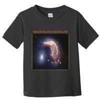 Webb Space Telescope The Penguin And Egg Ngc 2936 2937 Jwst Toddler T-Shirt