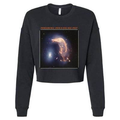 Webb Space Telescope The Penguin And Egg Ngc 2936 2937 Jwst Cropped Pullover Crew