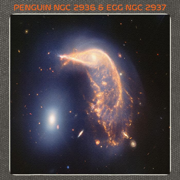 Webb Space Telescope The Penguin And Egg Ngc 2936 2937 Jwst Cotton Canvas Backpack