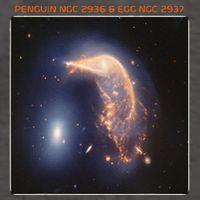 Webb Space Telescope The Penguin And Egg Ngc 2936 2937 Jwst Vector Backpack