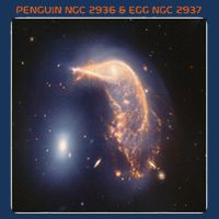 Webb Space Telescope The Penguin And Egg Ngc 2936 2937 Jwst Infant Baby Jersey Bodysuit