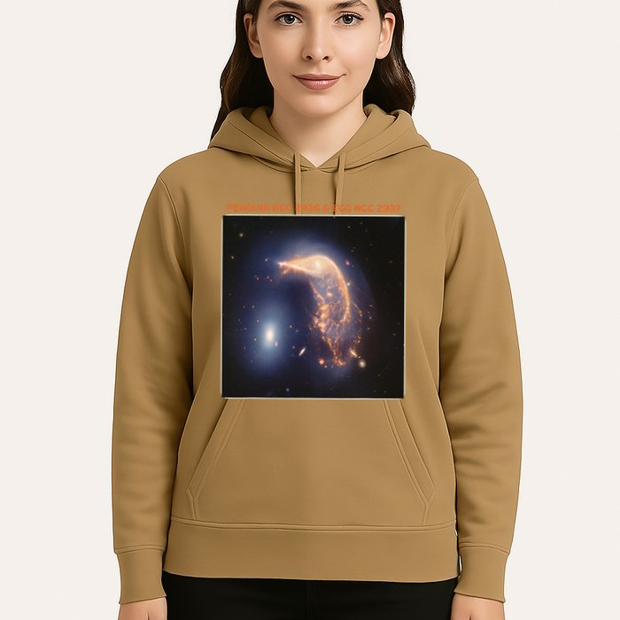 Webb Space Telescope The Penguin And Egg Ngc 2936 2937 Jwst Hoodie