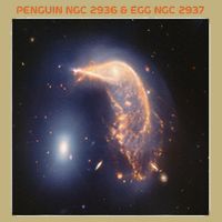 Webb Space Telescope The Penguin And Egg Ngc 2936 2937 Jwst Button