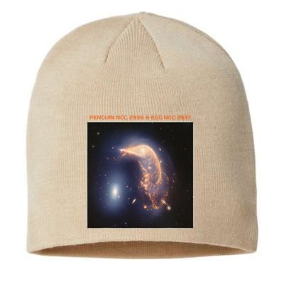 Webb Space Telescope The Penguin And Egg Ngc 2936 2937 Jwst Sustainable Beanie
