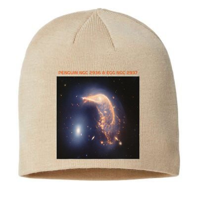 Webb Space Telescope The Penguin And Egg Ngc 2936 2937 Jwst Sustainable Beanie