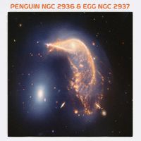 Webb Space Telescope The Penguin And Egg Ngc 2936 2937 Jwst Garment-Dyed Sweatshirt