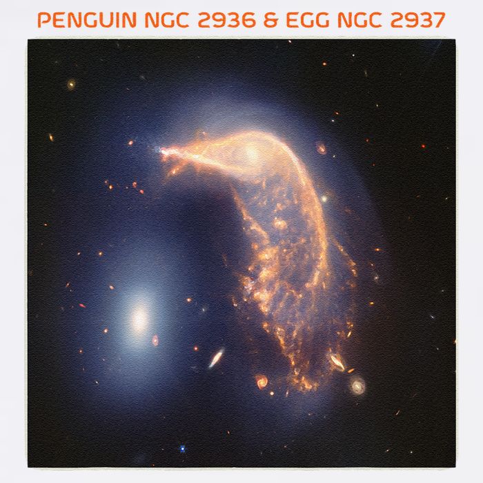 Webb Space Telescope The Penguin And Egg Ngc 2936 2937 Jwst Garment-Dyed Sweatshirt