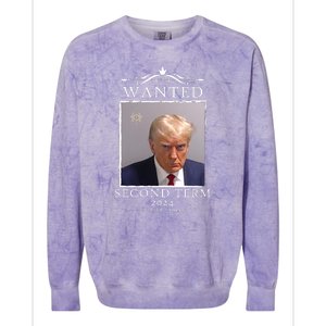 Wanted Second Term 2024 Trump Donald Mugshot Colorblast Crewneck Sweatshirt