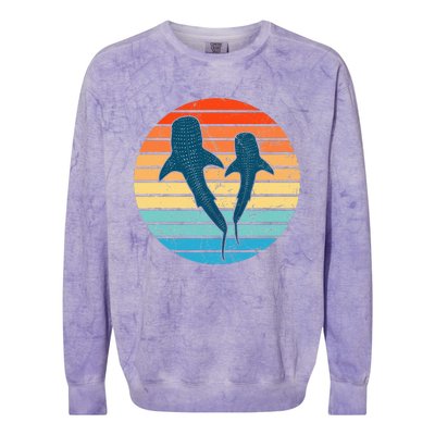 Whale Shark Vintage Sunset Colorblast Crewneck Sweatshirt